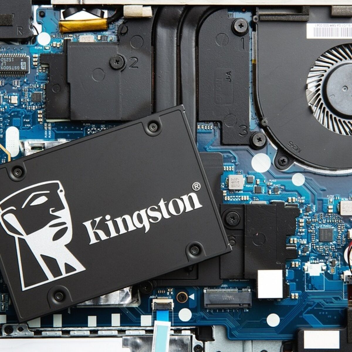 Extern hårddisk Kingston SKC600/1024G 1 TB 1 TB SSD