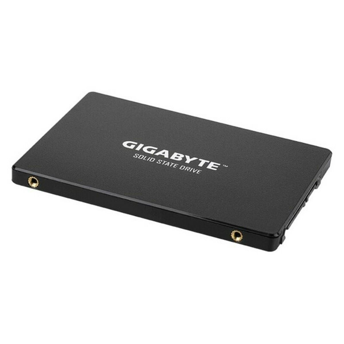 Hårddisk Gigabyte GP-GSTFS3 2,5" SSD 500 MB/s SSD