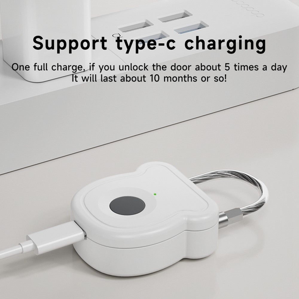 Smart Fingerprint Padlock Anti-Theft Security Lock with Electronic Key USB - C Fast Charge for File Cabinets Suitcases