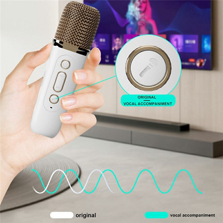 Y15 RGB Lighting Outdoor Mini Bluetooth-compatible Karaoke Speaker with 2 Microphone