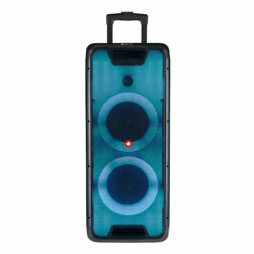 Bärbara Bluetooth-högtalare NGS WILD RAVE 2 Svart 300 W