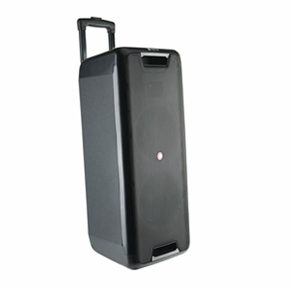 Bärbara Bluetooth-högtalare NGS WILD RAVE 2 Svart 300 W