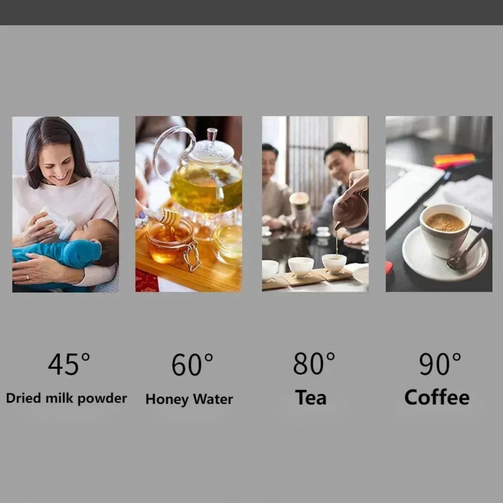 220V 1.6L Electric Kettle 304 Stainless Steel Kettle Household Anti Scalding Insulation Multifunctional Kettle Home Appliance