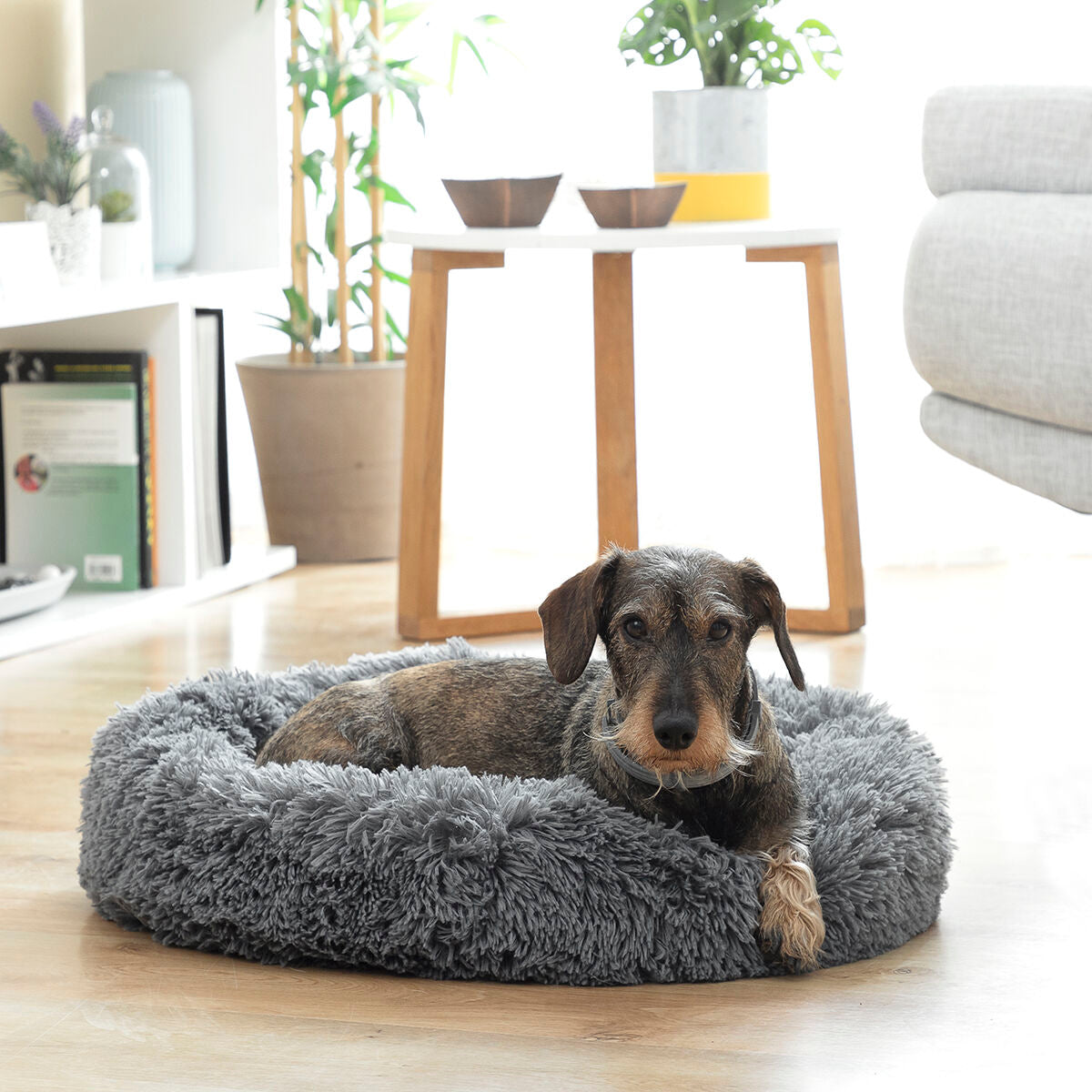 Antistress-djurbädd Bepess InnovaGoods Ø 60 cm